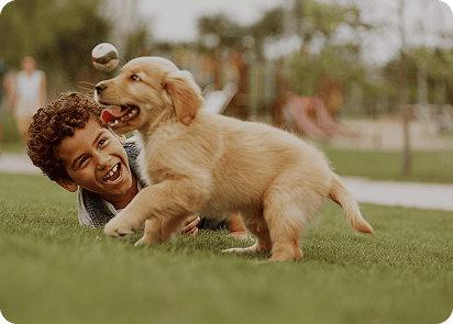 Cachorros