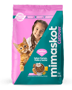 Mimaskot gatitos