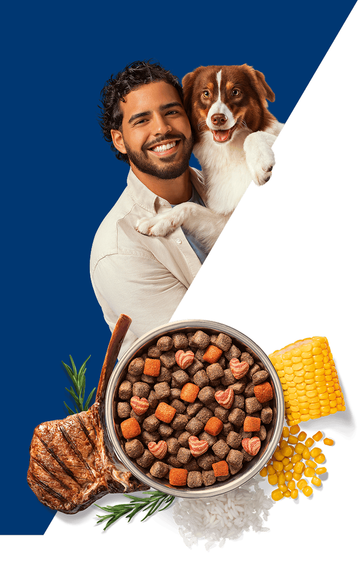 Mimaskot adultos