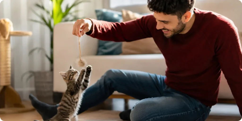 Gato jugando con su dueño | Mimaskot